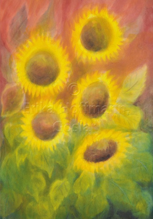 166_Sonnenblumen